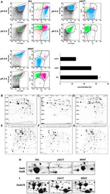 An H-NS Family Protein, Sfh, Regulates Acid Resistance by Inhibition of Glutamate Decarboxylase Expression in Shigella flexneri 2457T